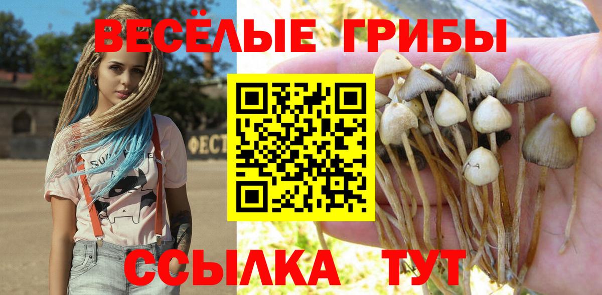 Галлюциногенные грибы Magic Shrooms  Вход с VPN  наркотики  Выкса 